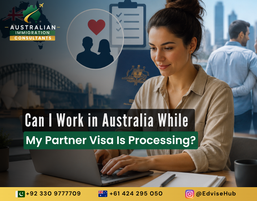 Work while Partner visa processing